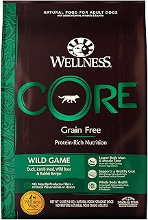 ウェルネス ドッグフード コア グレインフリー 高たんぱく質 成犬用 ワイルドゲーム チキン ダック うさぎ イノシシ ジビエ 乳酸菌配合 【大容量】5.4kg