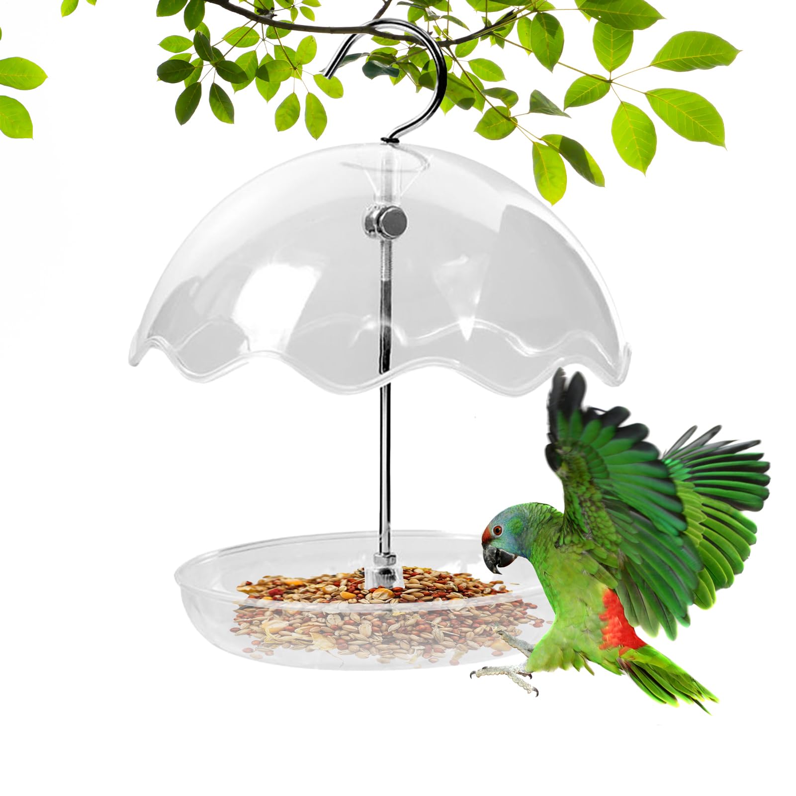 Comedero transparente para pájaros que evita la humedad en las semillas del jardín