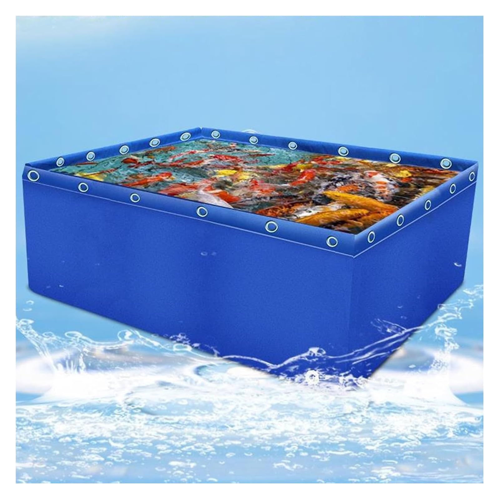Bassin-Aquarium Pliable pour Carpes Koï : Créez un Coin de Nature dans Votre Jardin