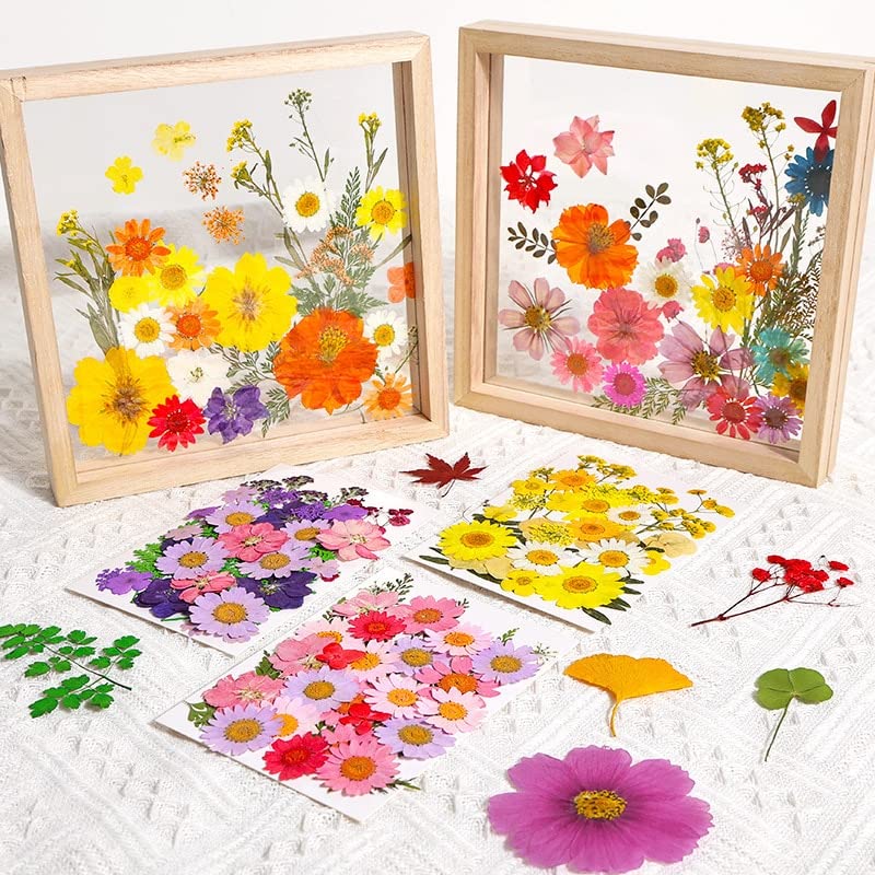 1 bolsa de adhesivos de flores secas prensadas miniatura 5