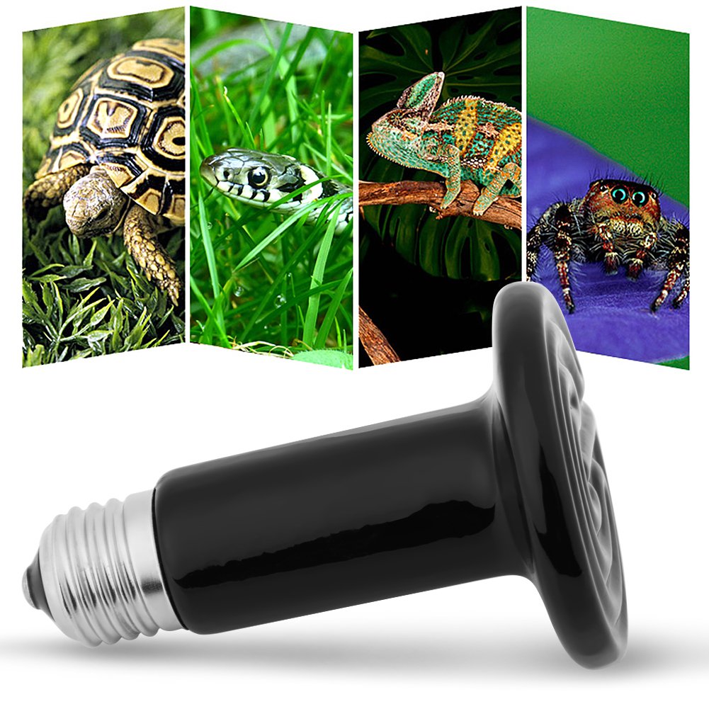 GOTOTOP Ceramiczna lampa ciepła gadów na podczerwień / żarówka/światło do żółwia gadów i amfibii jaszczurek 75 W/100 W/150 W (opcjonalnie) (150 W)