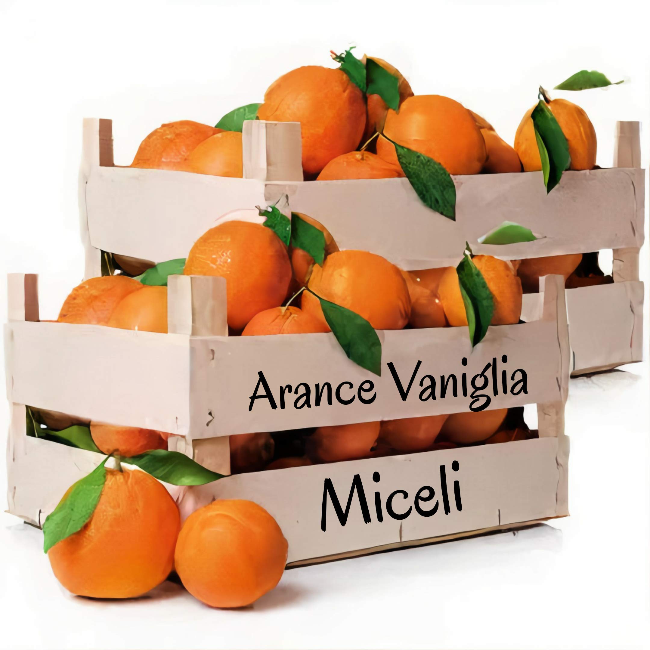 Box mit 9 Kilogramm Sizilianischen VanilleOrangen Italienische Orangen