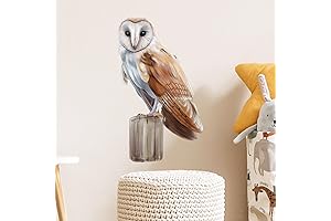 Owl Window Clings: Barn Owl Adorns Your Space with Wonder