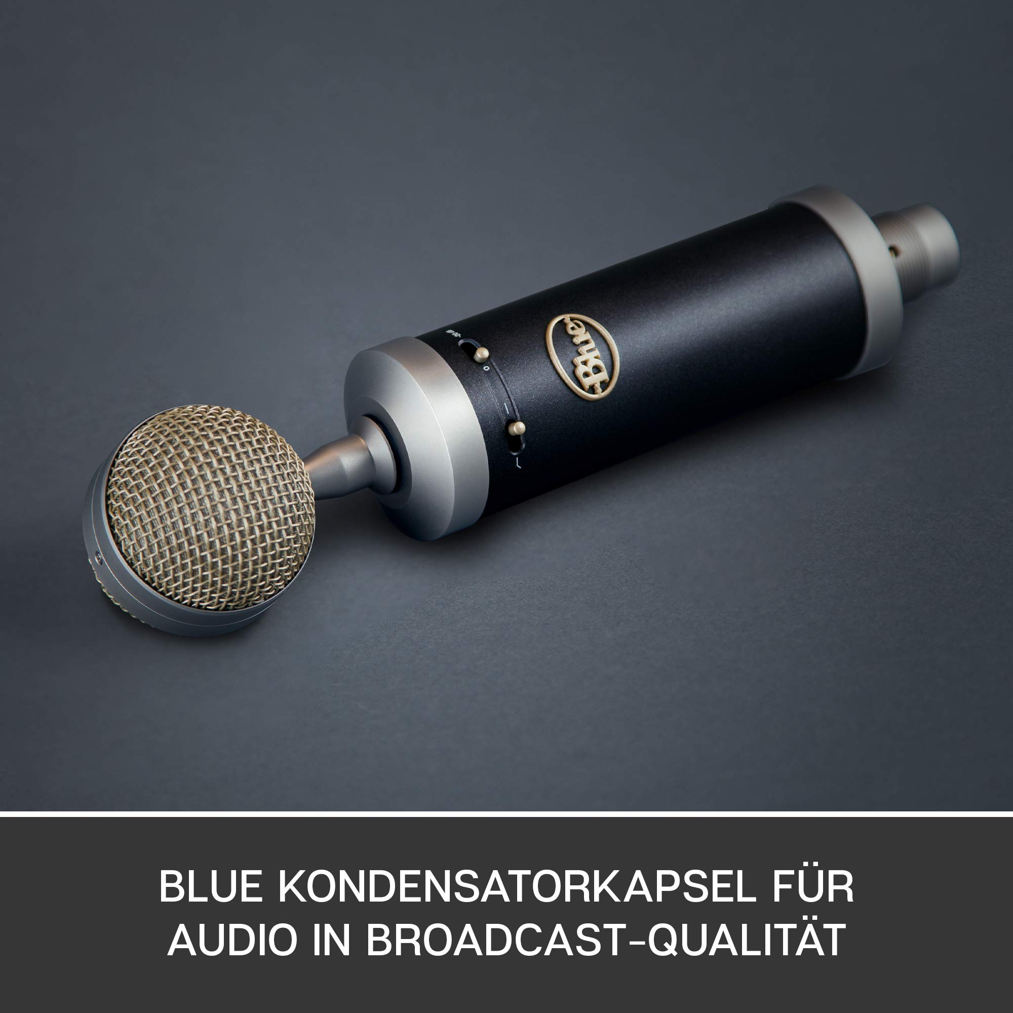 Blue Baby Bottle SL XLR Kondensatormikrofon für Aufnahmen und  