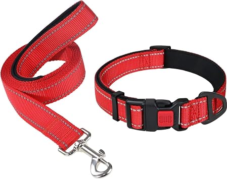 Taglory 10"-16" Dog Collar and 5 FT Dog Leash Set, Highly Reflective Threads Dog Leash, Adjustable Reflective Dog Collar with Safety Locking Buckle for Small Dogs
