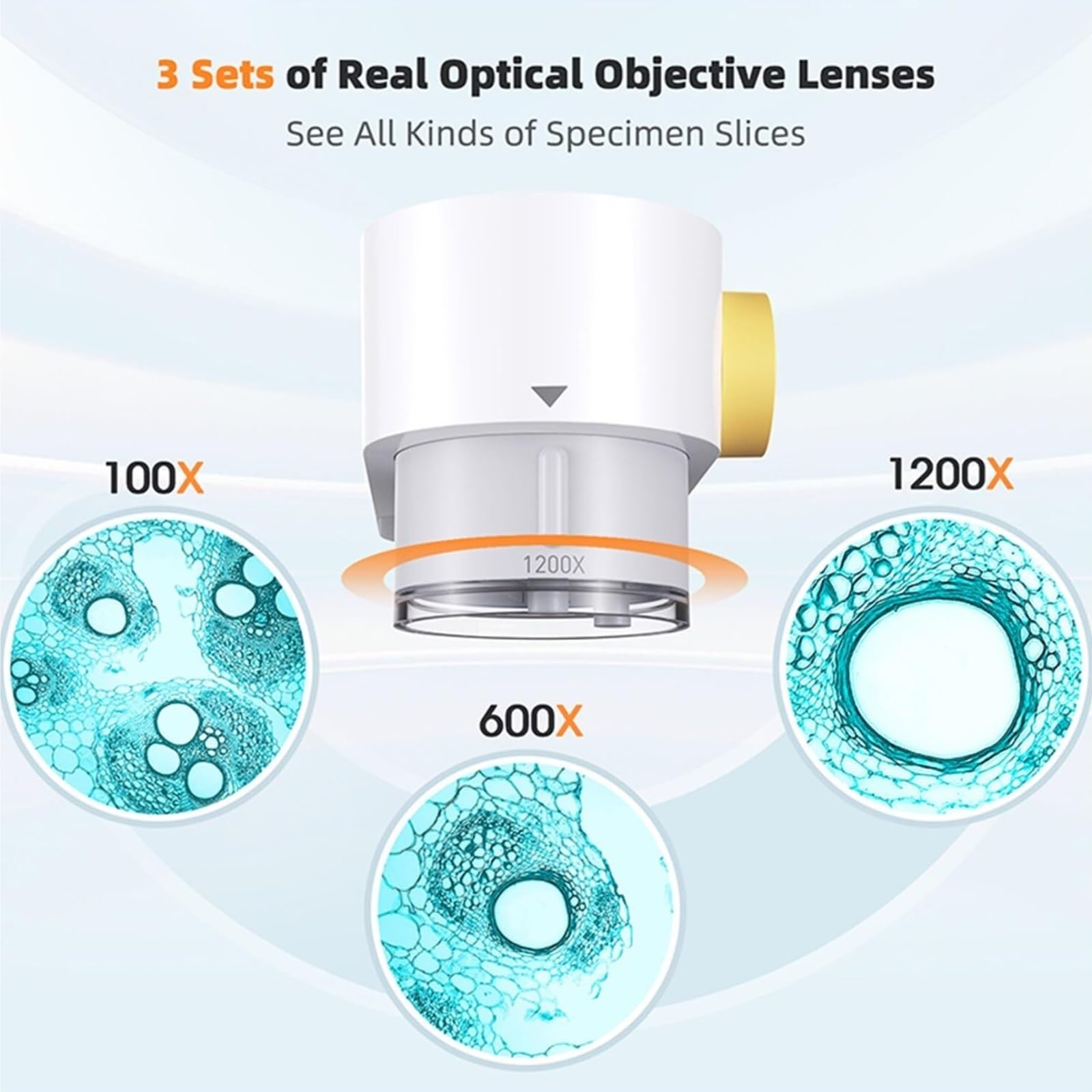 microscopio, Microscopio Biológico De 9 Pulgadas con Vídeo Estereoscópico Digital Aumento 1200X para Adultos