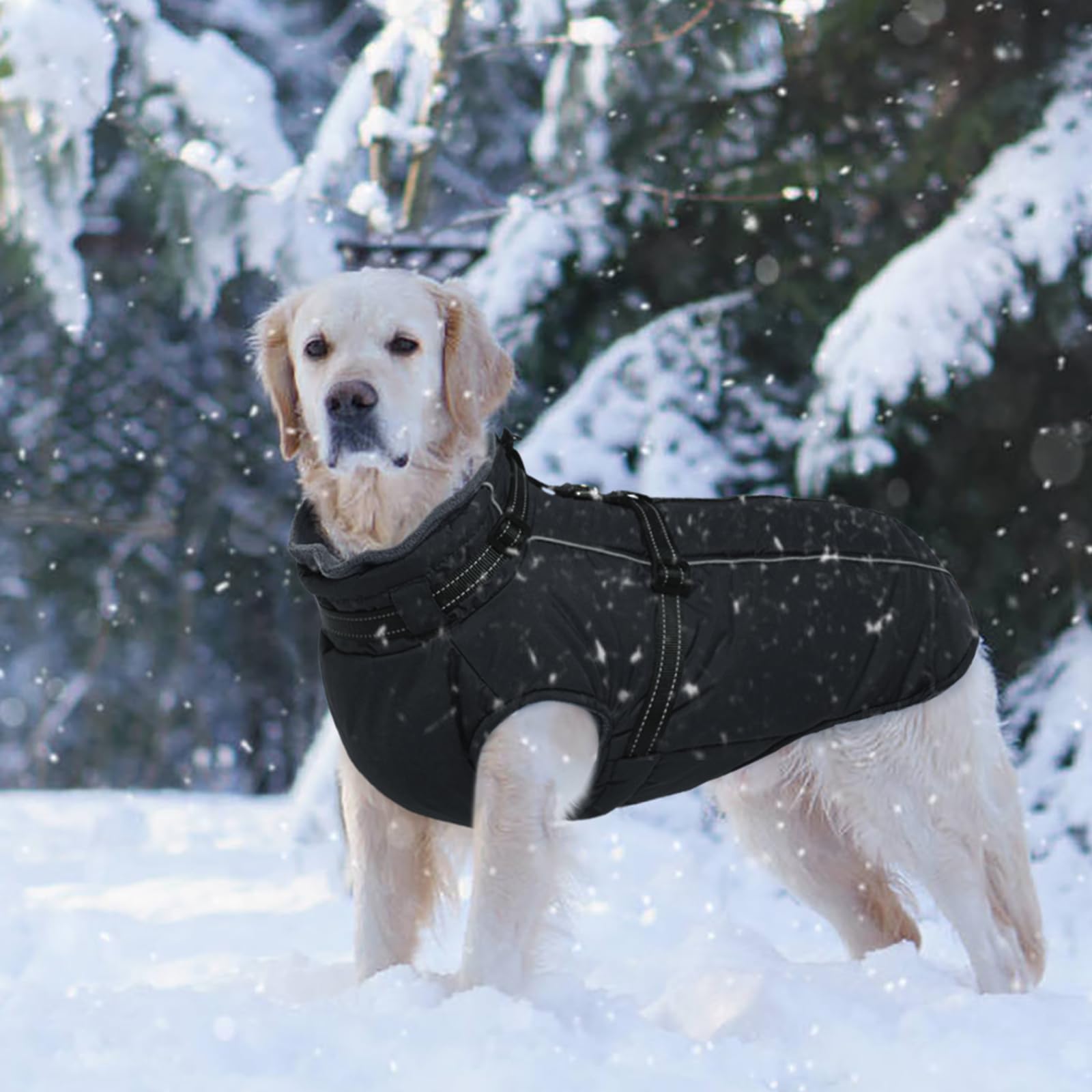 Lelepet XXXL Hundemantel Mit Geschirr - Integrierte wasserdichte Hundejacke, Warmer Wintermantel, Dicke Fleecejacke - Reflektierend, Verstellbar, Für Dogge