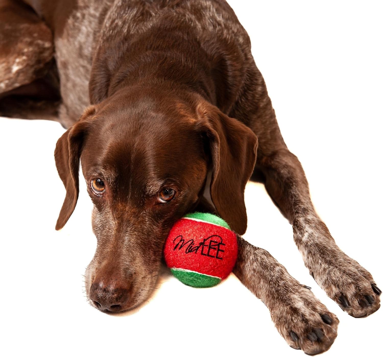 Midlee Candy Cane Christmas Dog Tennis Balls - 2.5" - Set of 4