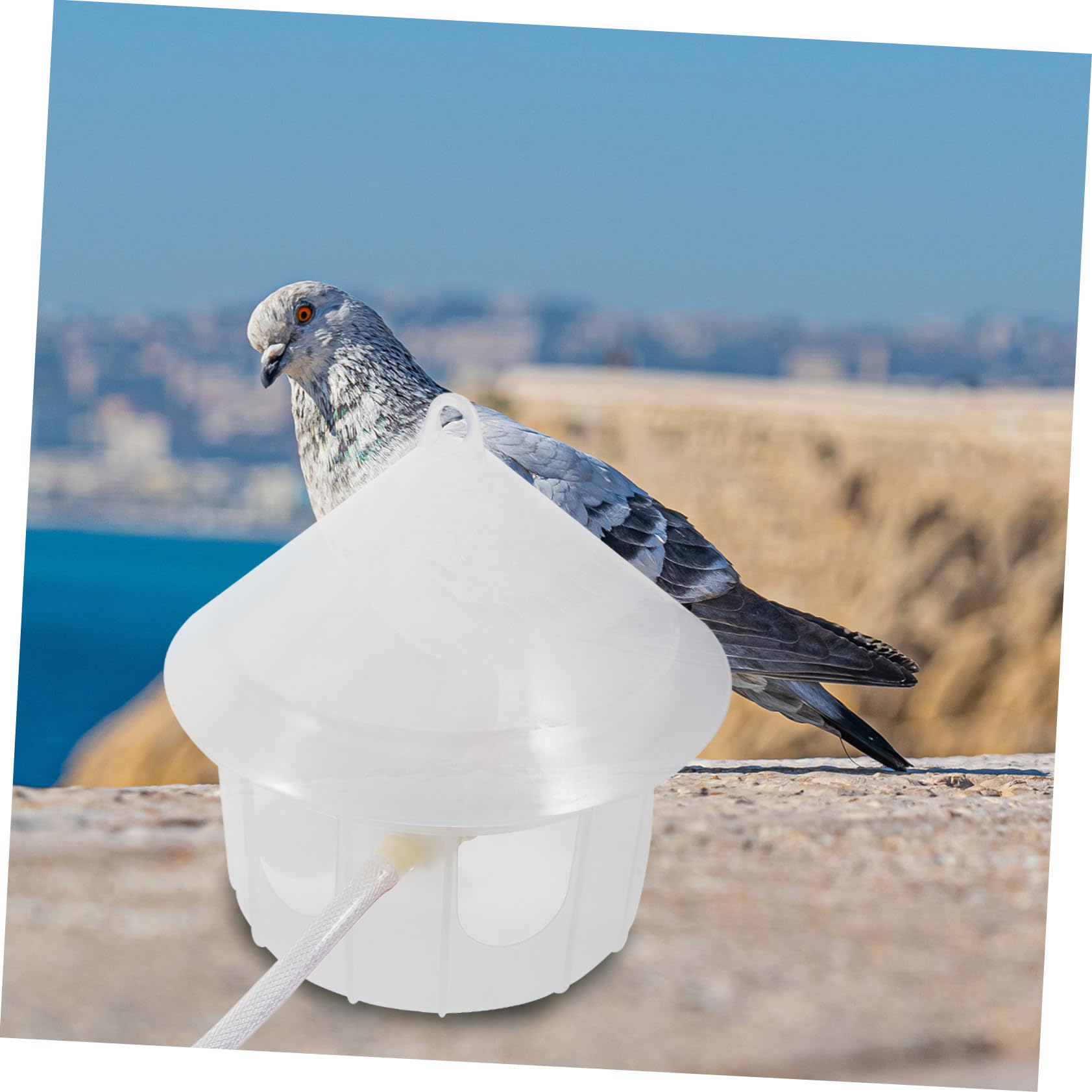 HANABASS Bebedero para Palomas Dispensador Automático De Agua Comedero De Plástico para Pájaros para Uso Jaulas y Exteriores Recipiente para Aves