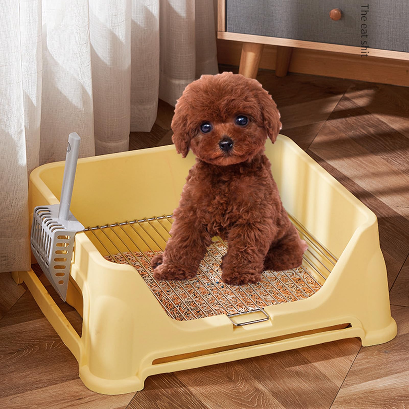 Potty Training Essentials Pet Pee Pad Holder Lonabr Large Dog