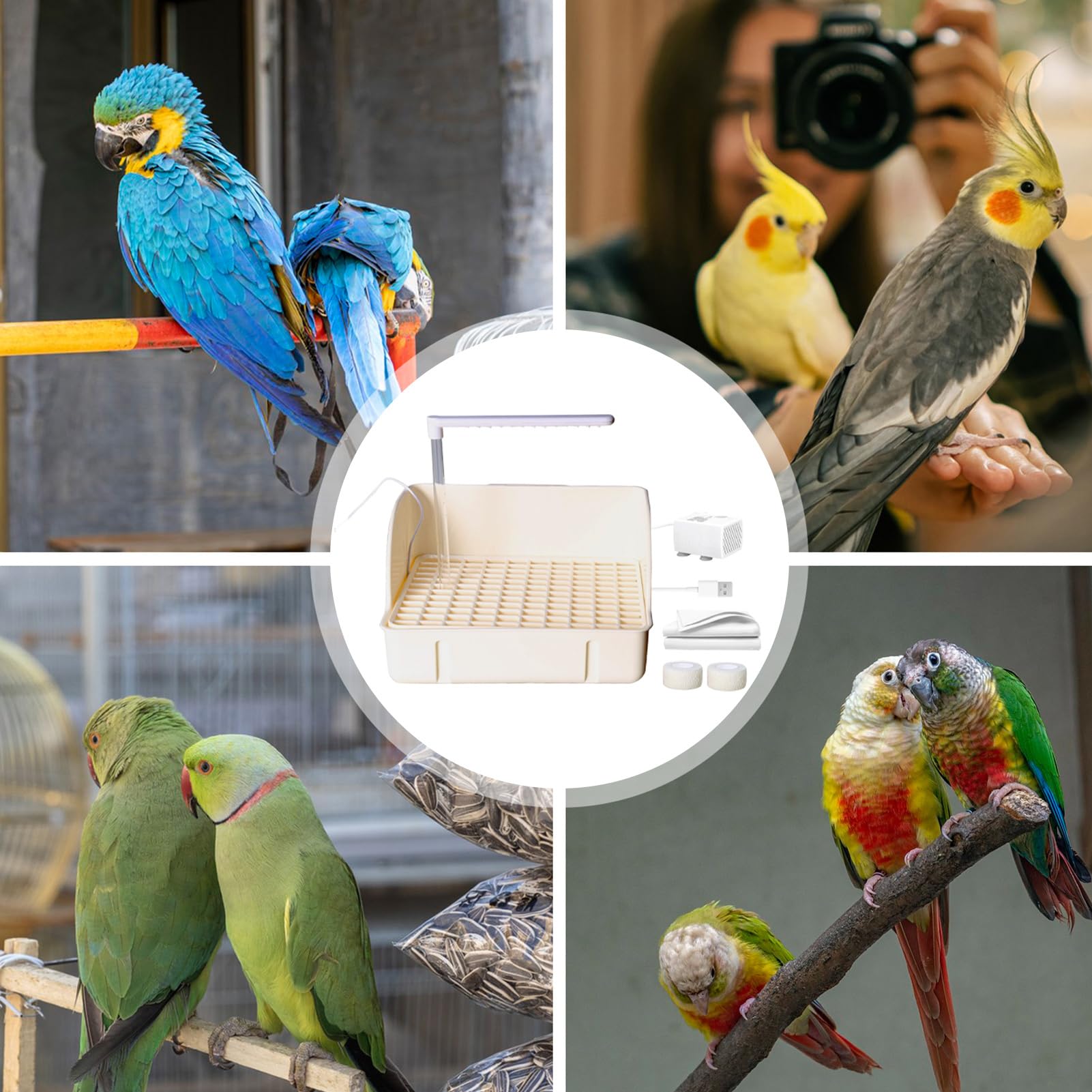 BAJO AUTOMÁTICO - DOPUGA 'ACCHADO | Bañera para loros circulantes con | bomba | Amplio contenedor para el baño del gorrión de diseño | Accesorio para jaula para animales domésticos para conuce