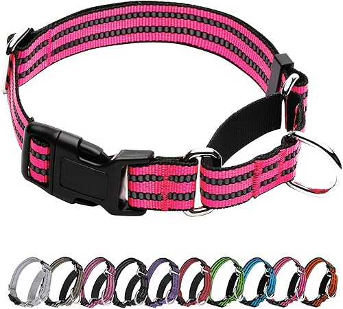 Martingale - Collar para perro, collar reflectante ajustable de nailon con hebilla de liberación rápida (rosa intenso, talla L)