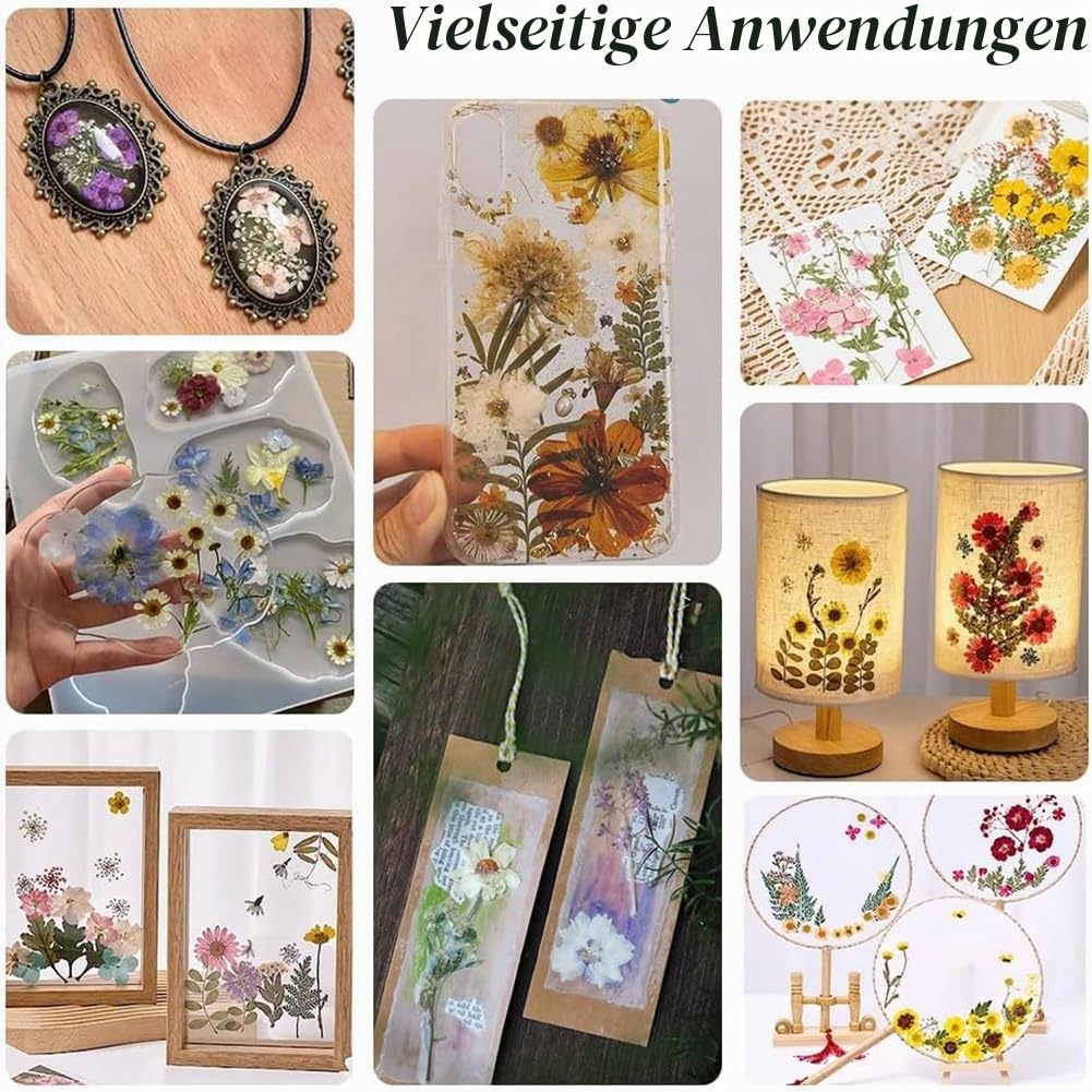 PH PandaHall Blumenpressenset Aus Holz 9.7 x 9.7 Zoll Blumenpressset 8 Schichten Pflanzenkonservierungsset DIY Gepresst Für Erwachsene Garten Outdoor