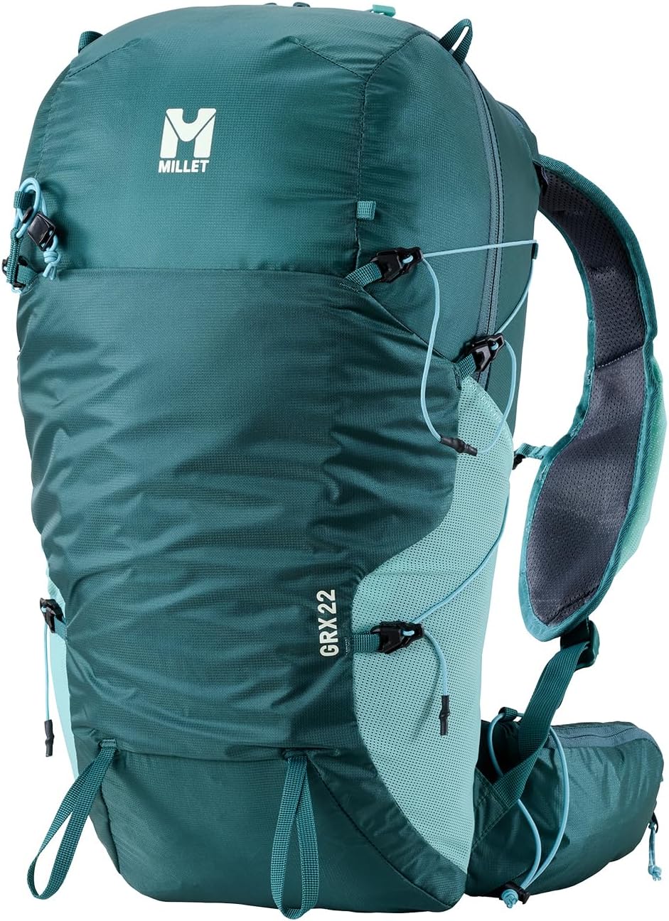 真作】絵画 板倉公明 日本画4号 薔薇 美品 共シール 箱・黄袋入 R44 真 真作】絵画 板倉公明 日本画4号 薔薇 美品 共シール 箱・黄袋入 R44 真