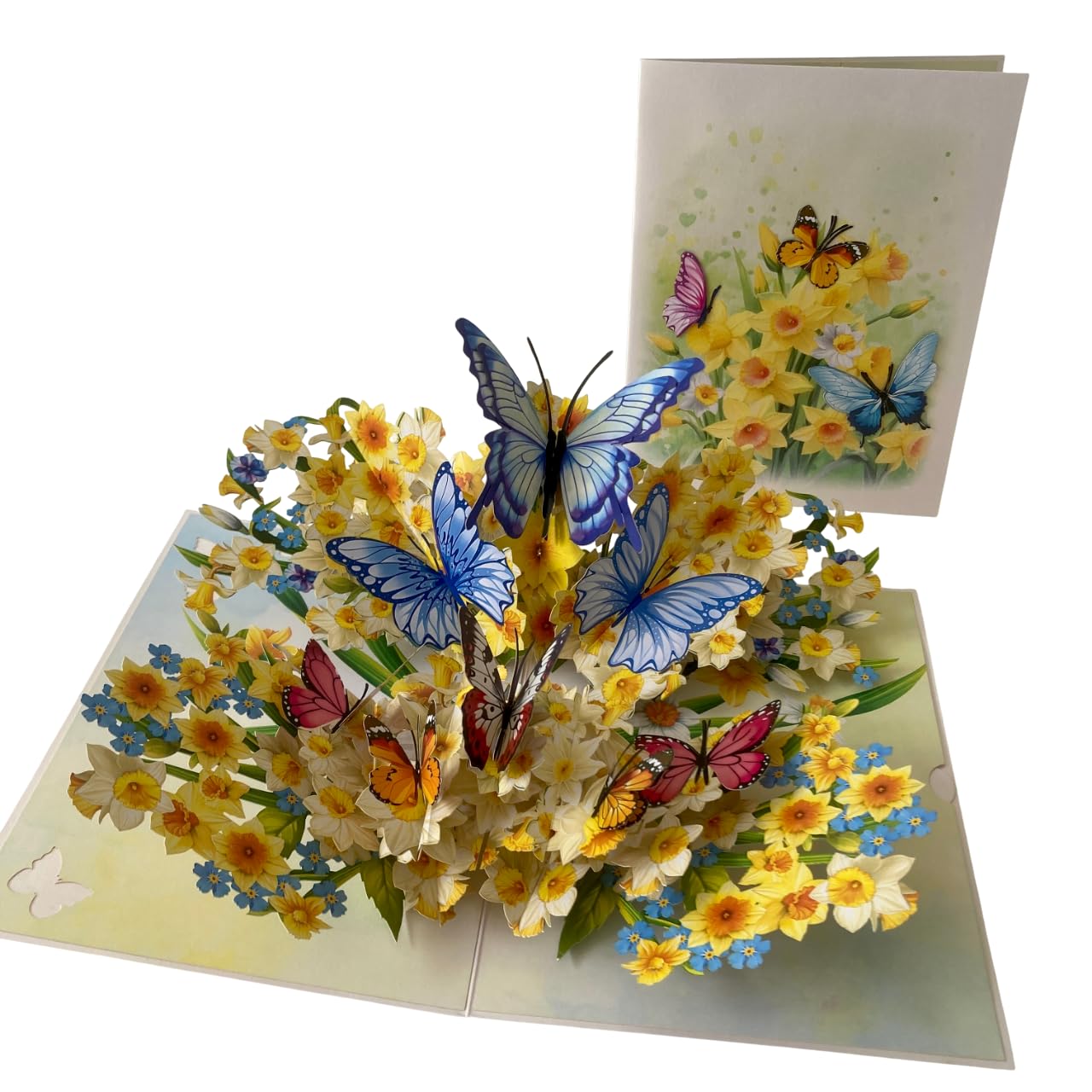 3D Pop Up Greeting Card with Daffoldil and Butterfly for Birthday, Get Well or Any Occasion by Devine Cards, Blank Inside