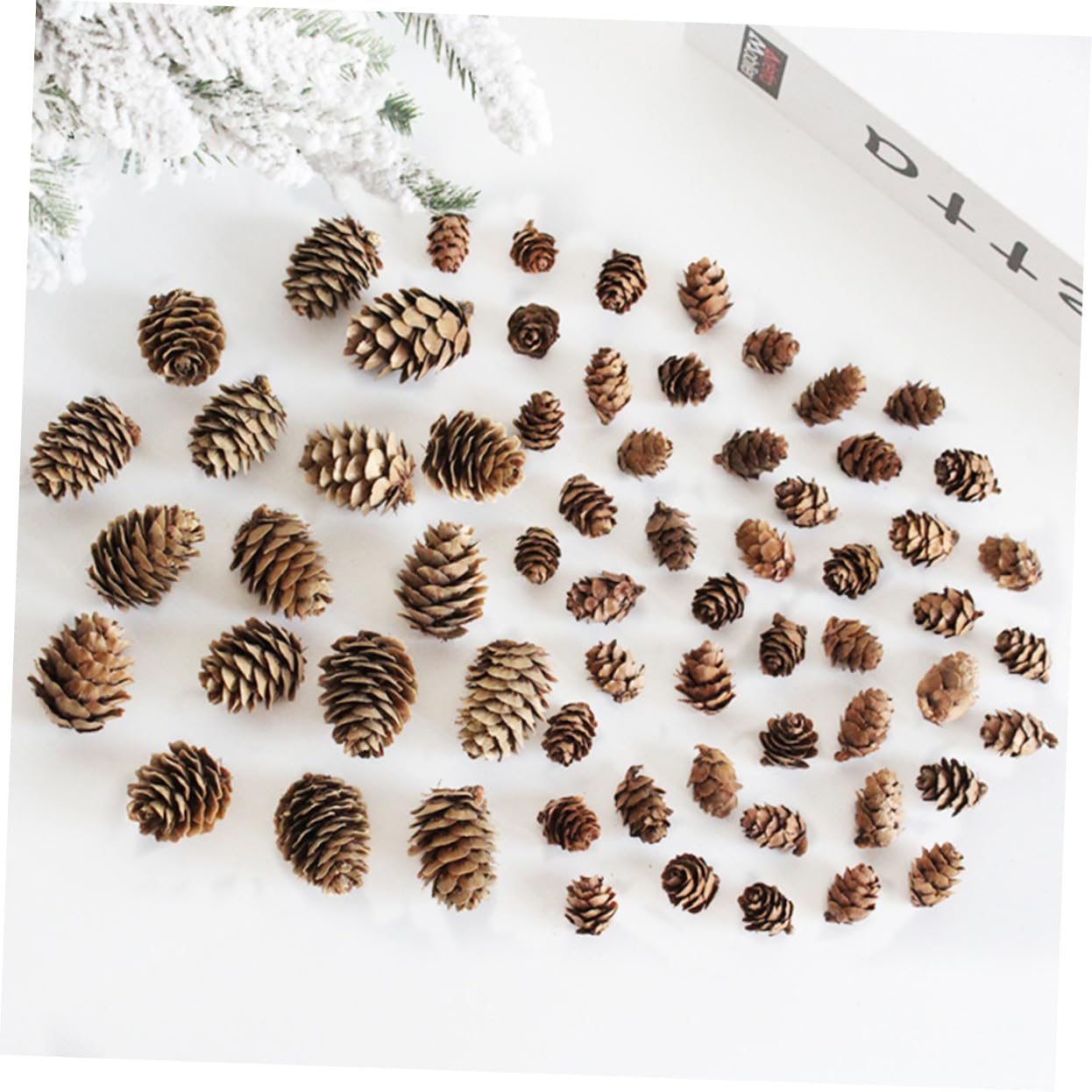 100 Pezzi Decorazioni in Legno a Forma di Cono di Pino Tradizionali per Casa e Negozio, Addobbi Natalizi Rustici e Decorativi per Interni e Feste