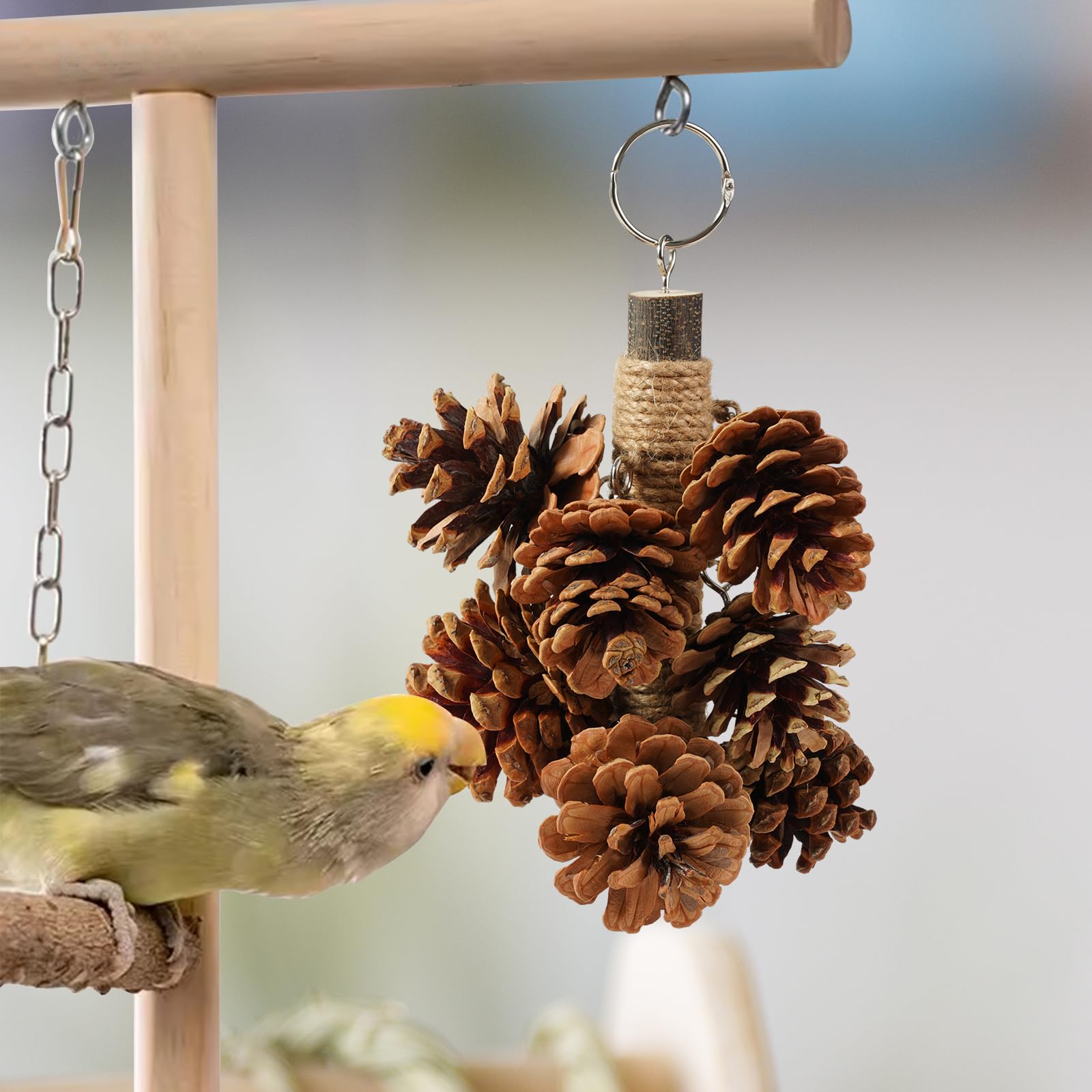 Vogelspielzeug Mit 8 Echten Tannenzapfen – Natürliches Kaustäbchen Zum Aufhängen Für Sittiche, Wellensittiche & Papageien (20,3 Cm)