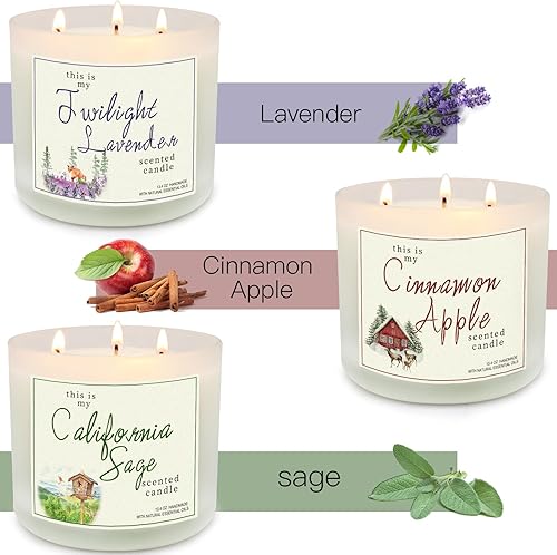 Miniatura 8 de Velas aromáticas para el hogar, paquete de 3 velas de soja en tarro grande de 3 mechas, velas de baño y trabajos corporales, velas de 40.2 onzas y