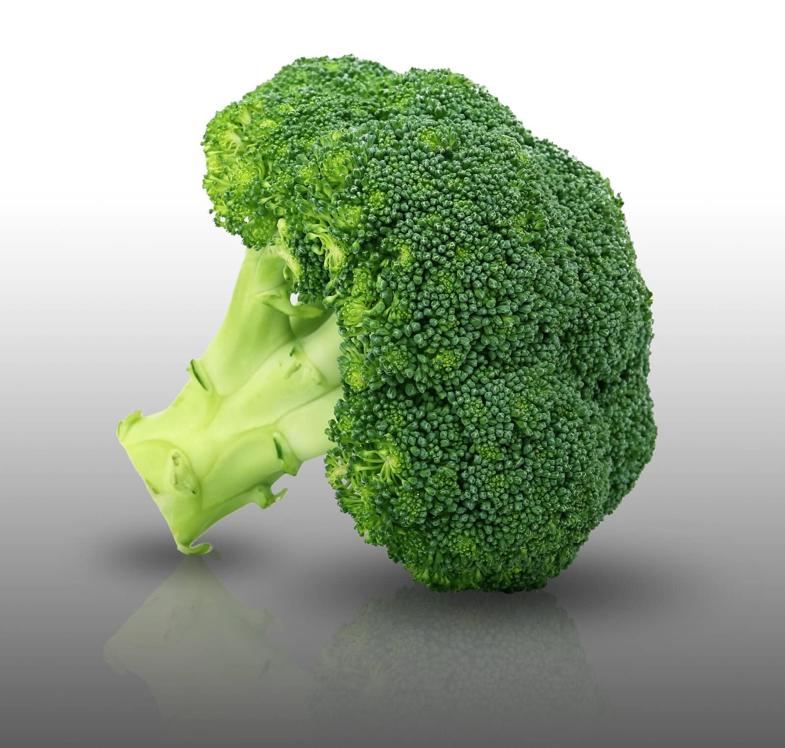 100 Graines Chou Cabus De Brunswick - Brassica Oleracea - Légume Ancien Gros Pomme Aplatie