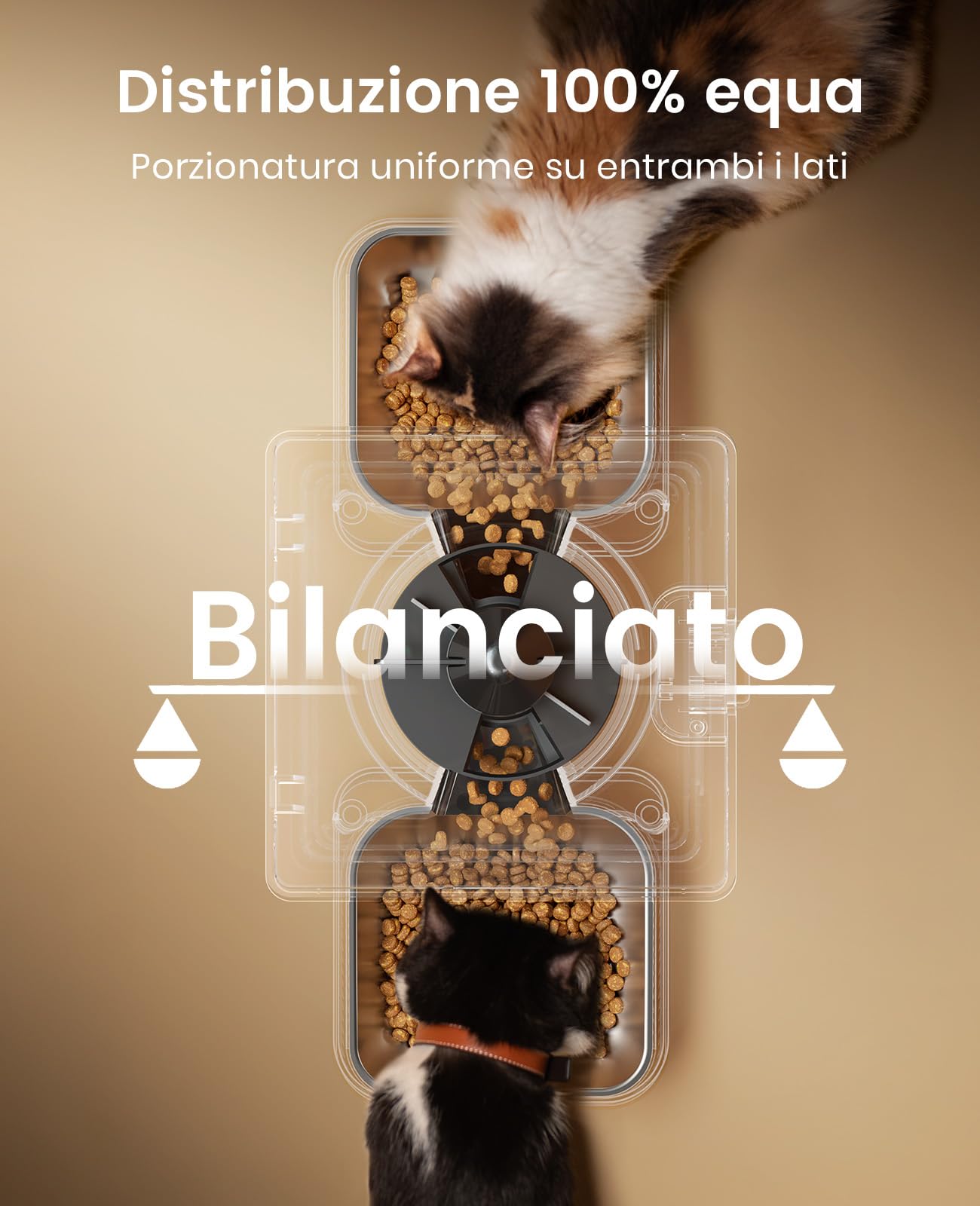 oneisall Distributore Automatico Cibo Gatti 5L 2 Mangiatoia Automatica One Button per Cani, con Ciotola in Acciaio Inox, Registratore Vocale
