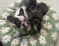 Review Image by Peggy B. Peggy B.