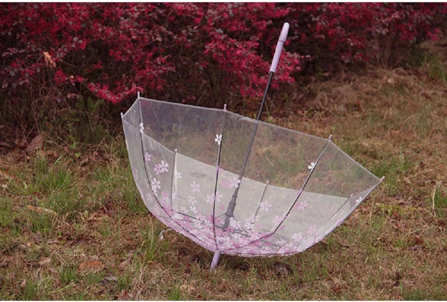 Transparent Bubble Umbrella Transparent Fashion Dome Automatic Handle Bird Cage Windproof Wedding Decoration Umbrella (Purple)
