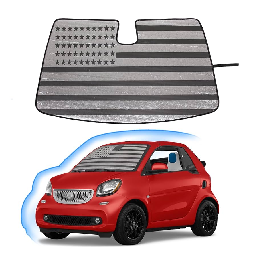 Style　SMART smart fortwo Lowering Spring Set - 451 model - MADNESS