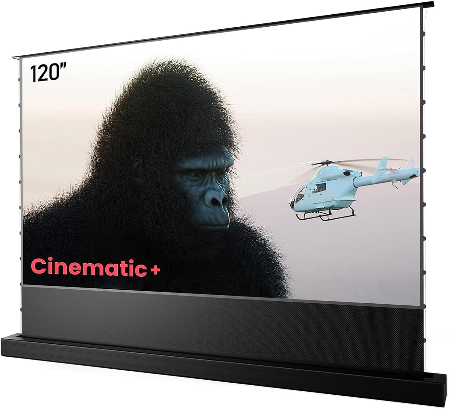https://m.media-amazon.com/images/I/71wH9JfXTBL._AC_SL1500_.jpg
