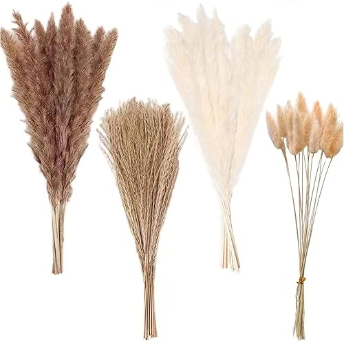 Miniatura 2 de 80 piezas de decoración de hierba de las pampas con colas de conejo, flores secas bohemias, ramo de hierba de caña para decoración de mesa de boda,