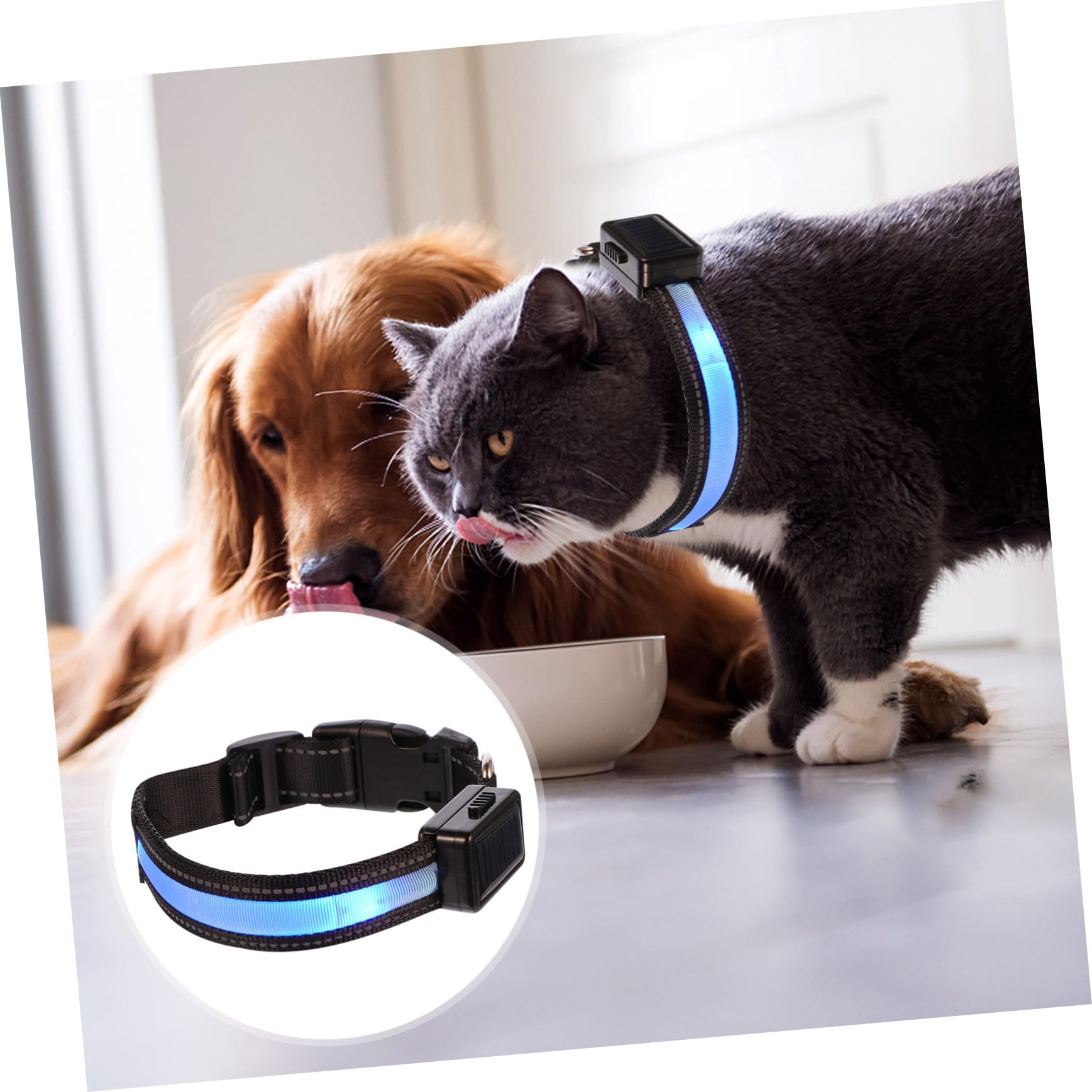 SUPVOX 3juegos Collar Led para Perros Collar Brillante USB Recargable Seguridad Nocturna para Mascotas para Fiestas y Celebraciones