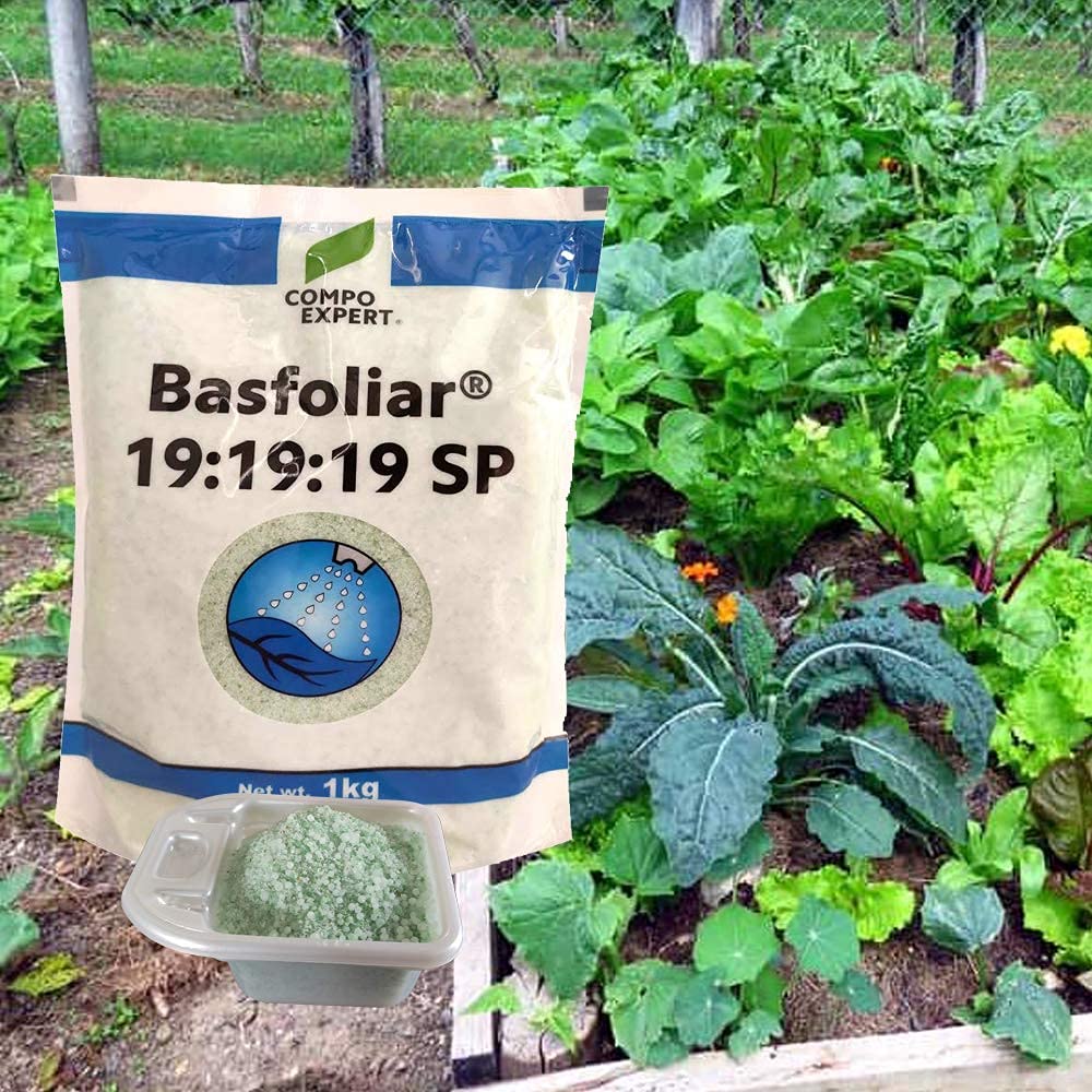 COMPO EXPERT Basfoliar B19 From Germany Npk Plant Growth Regulator Powder For Home Garden & Plants- Stress Alleviator- Results In Higher Yield - Colour Of Product May Vary 1Kg (B0C4V7DMBN) Amazon Price History, Amazon Price Tracker