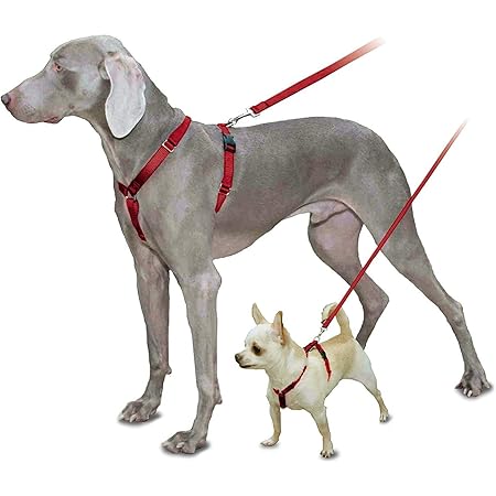 harness lead amazon