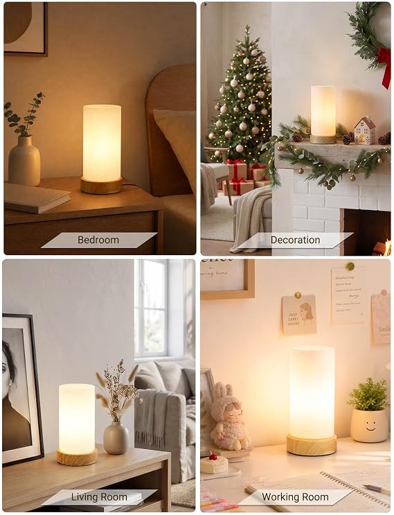 Bedside Lamps, Small Touch Glass Shade Dimmable Table Lamp for Bedroom [Energy Class F]