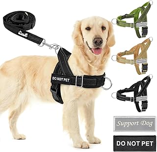 Eyein Dog Harness with Lead for Large, Medium Dogs, Soft Padded Chest Harness with 2 Lead Clips, Reflective & Lightweight Anti-Pull Harness for Walks Training, Black, XL product image