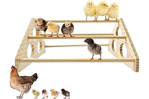 Chick Perch Chicken Coop Toys and Accessories - The Perfect Coop Companion