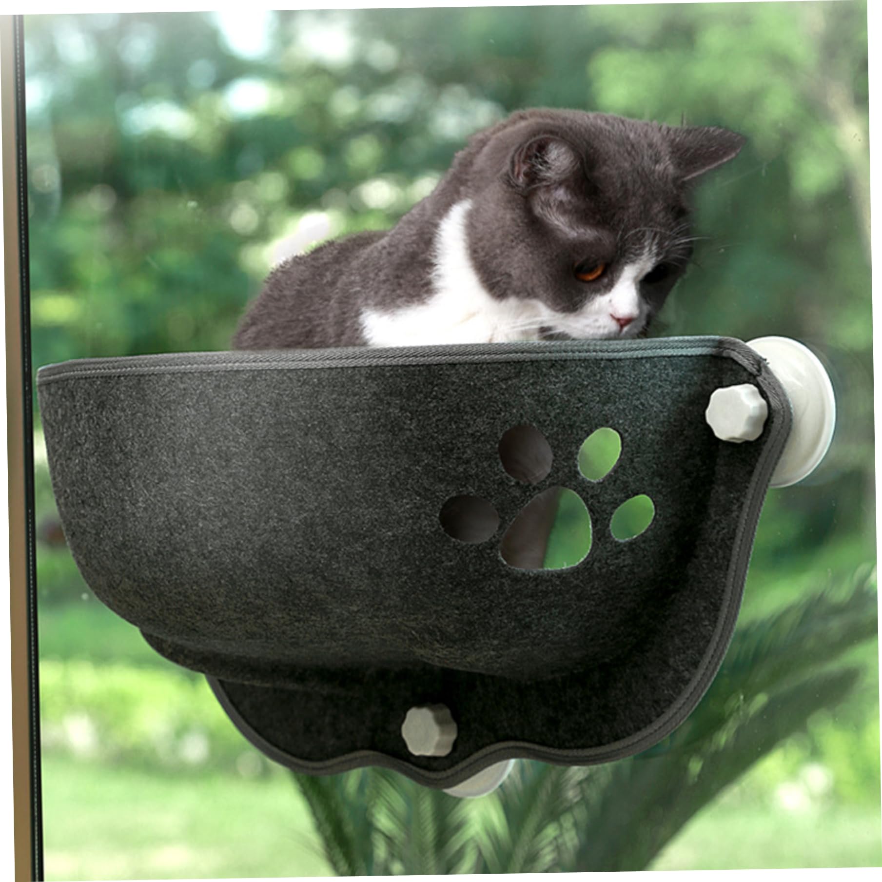 Lit de fenêtre de Chat, Aspiration de lit de Chat Window 20 x 11 x 11 Forme de Mine de fenêtre de Chat Hamac Lavable Cat Car Hamac Soft Cat Lounge Sage pour négligence, Voiture de Chat Hamac