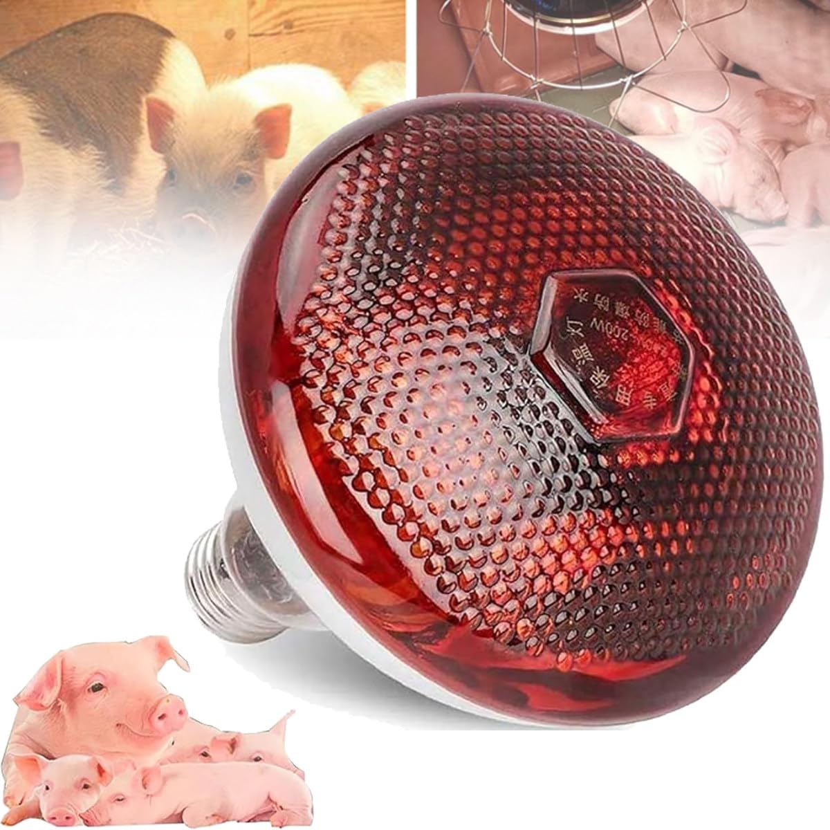 Lámpara de calor para reptiles con protector de bombilla, calefactor para gallineros, luz de calor para criadoras al aire libre, lámpara de calor para mascotas,275W