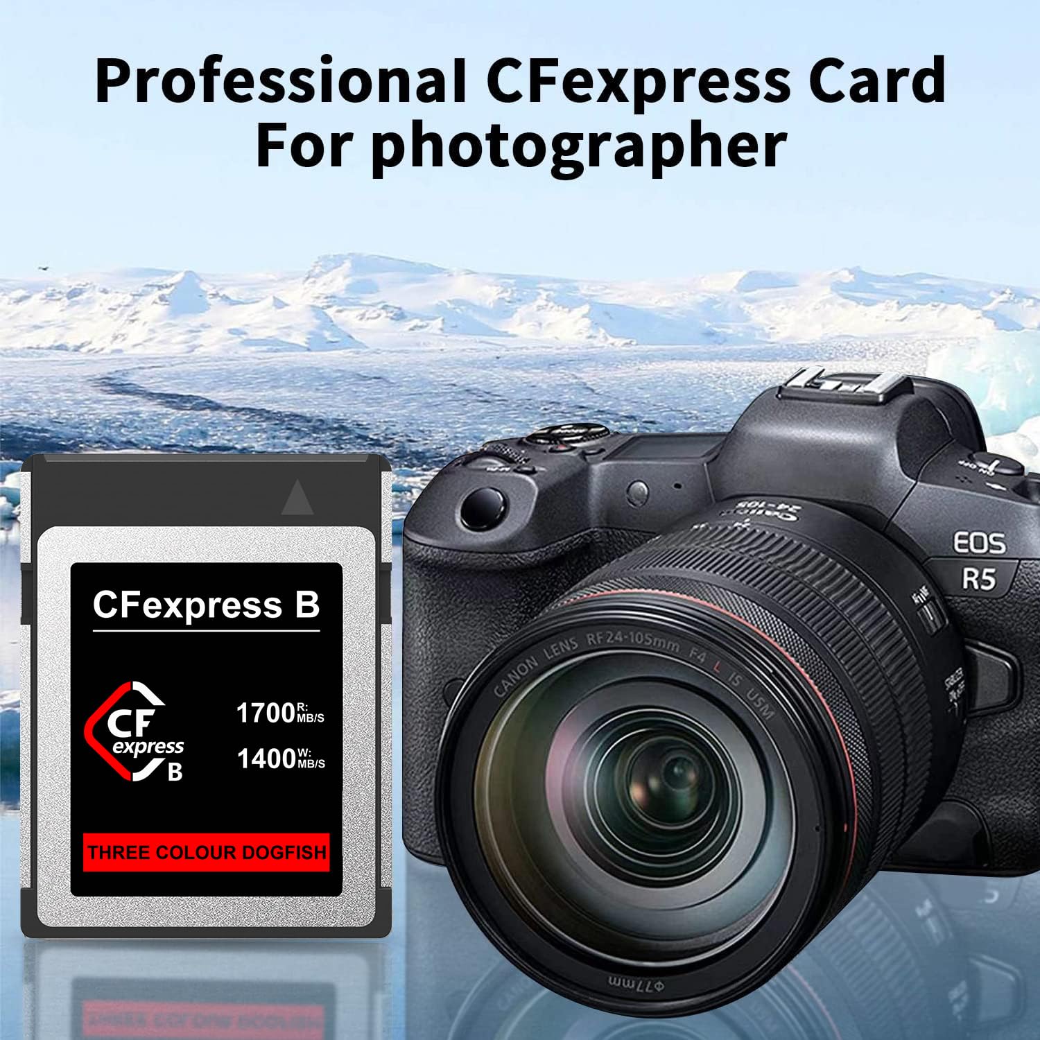 Dogfish 128GB Scheda di Memoria CFexpress Tipo B, Fino a 1700MB/s Foto e Video RAW 8K 4K, per videocamere Nikon Canon Panasonic