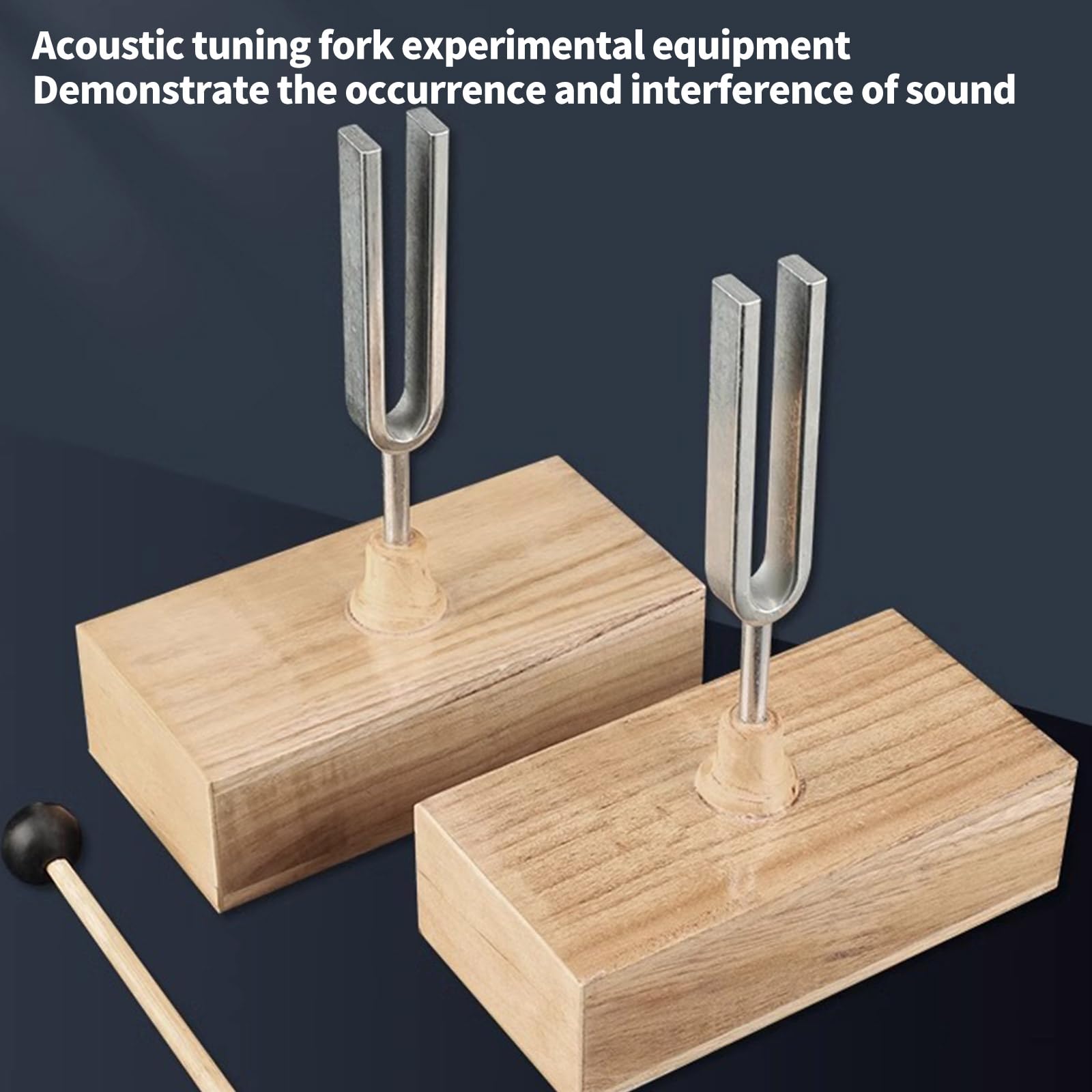 Kit d'expérimentation avec doubles fourches d'accordage 440 Hz et boîte en bois pour l'éducation, laboratoire de physique, résonance sonore