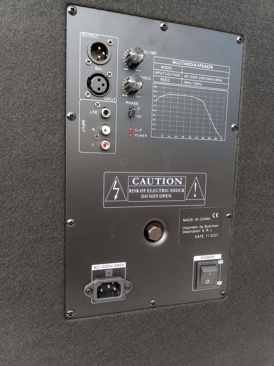 Modulo Amplificatore per Subwoofer PA DJ modulo amplificato professionale 29,5 x 18,5 cm, con Controlli Volume e Frequenza, Alimentazione AC 220V-240V