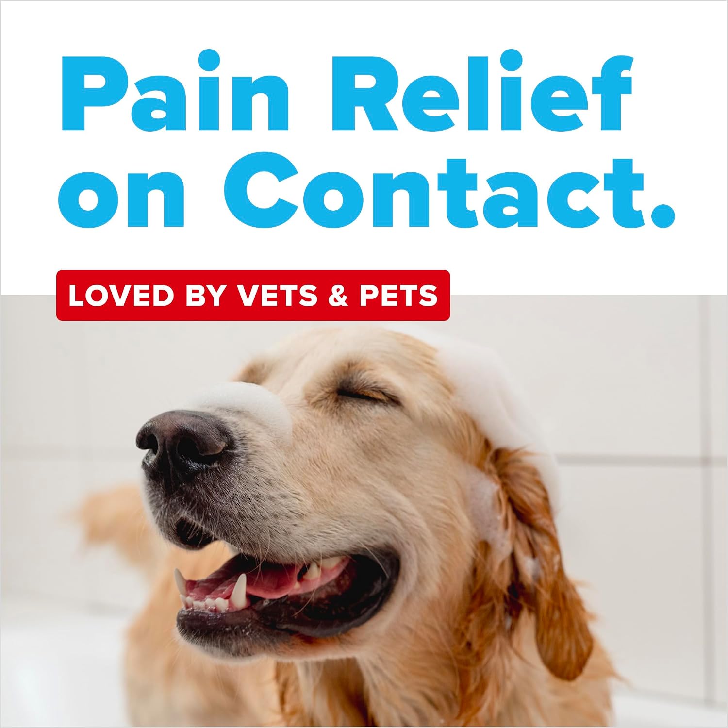 OxyMed Vet Strength Hot Spot Medicated Dog Shampoo, Chlorhexidine, 20oz
