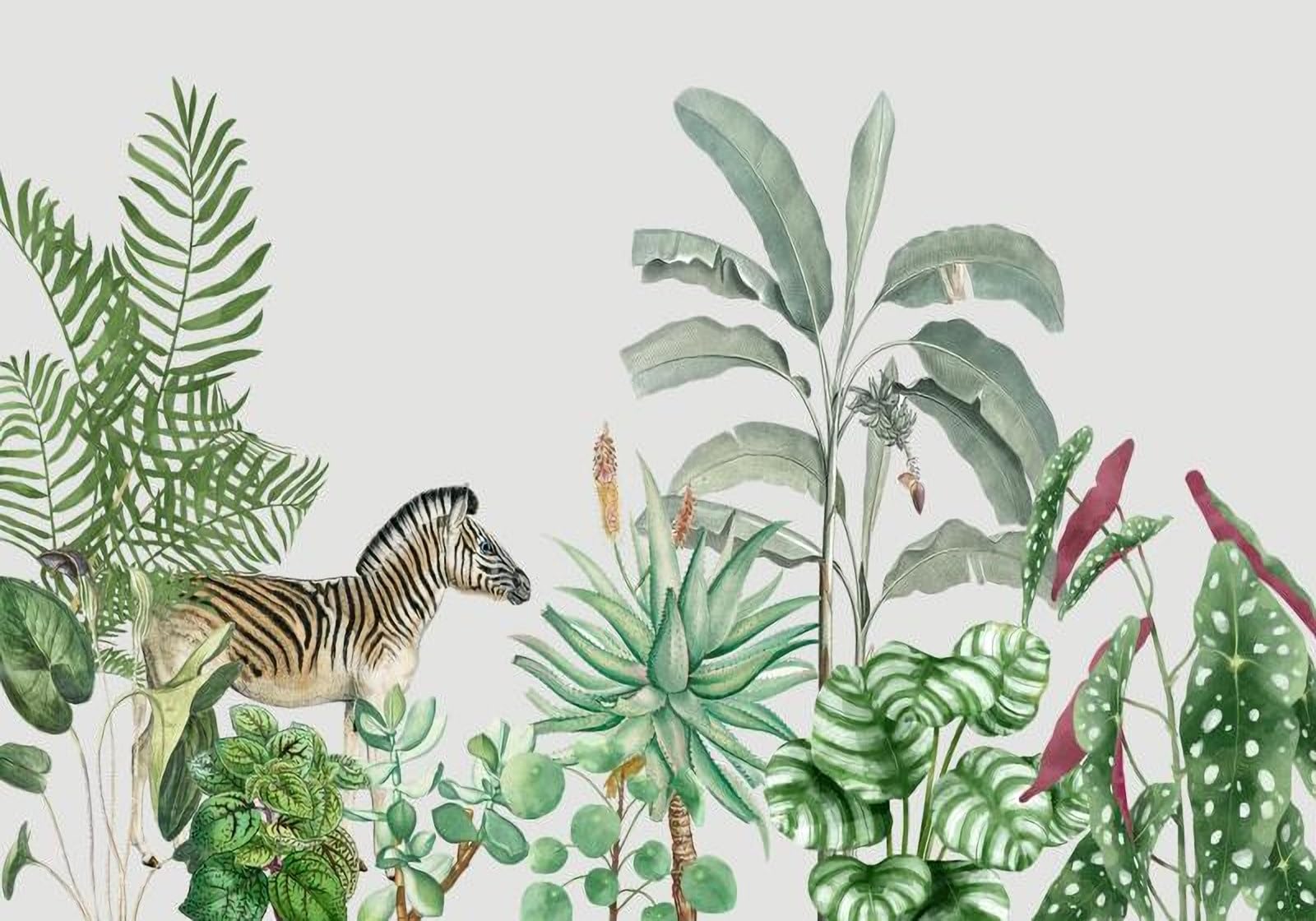 Papier peint plantes tropicales milieu du siècle poster géant mural xxl salon