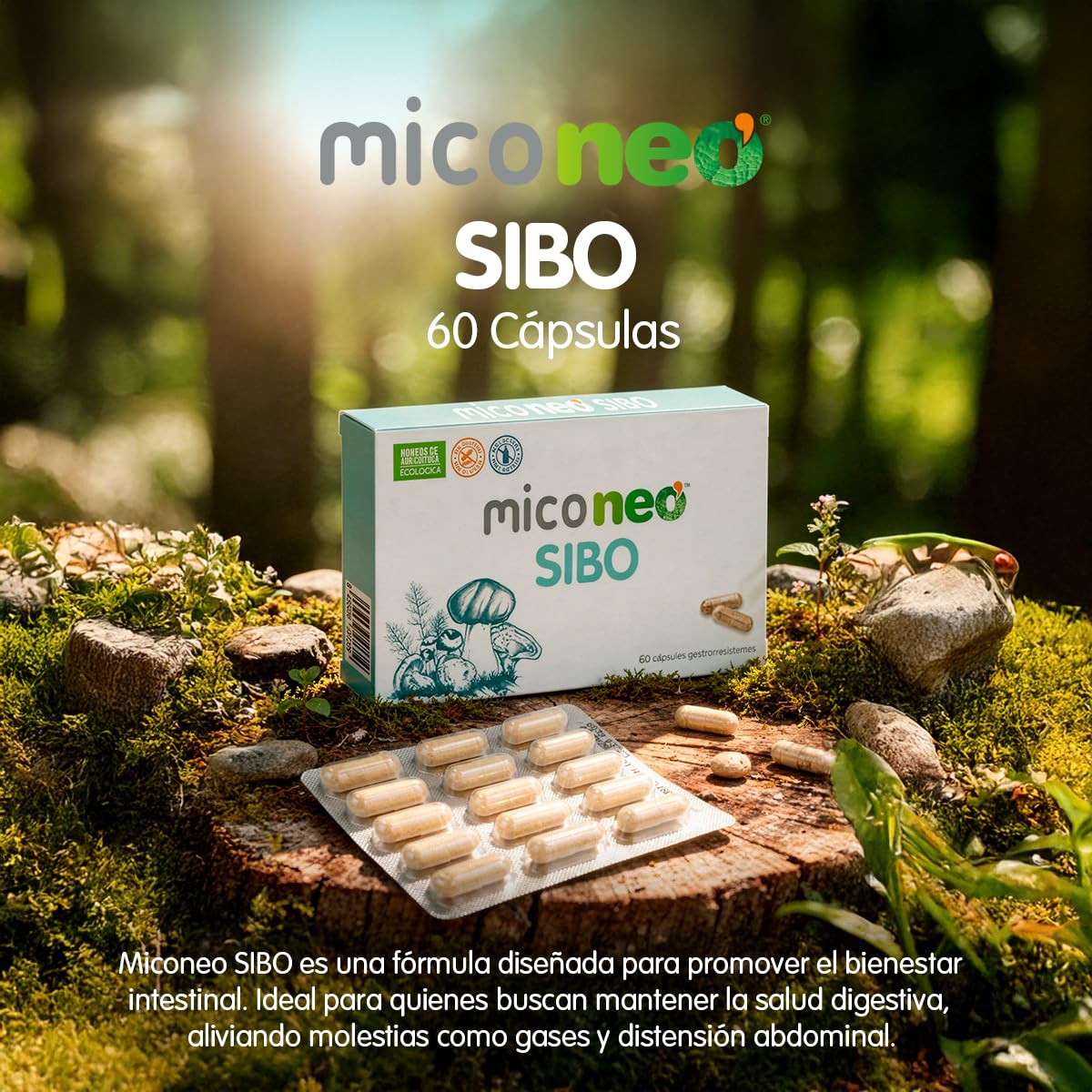 MICO NEO - Complemento Alimenticio con Melena de León y Saccharomyces Boulardi - Probiótico Natural para Afecciones Intestinales