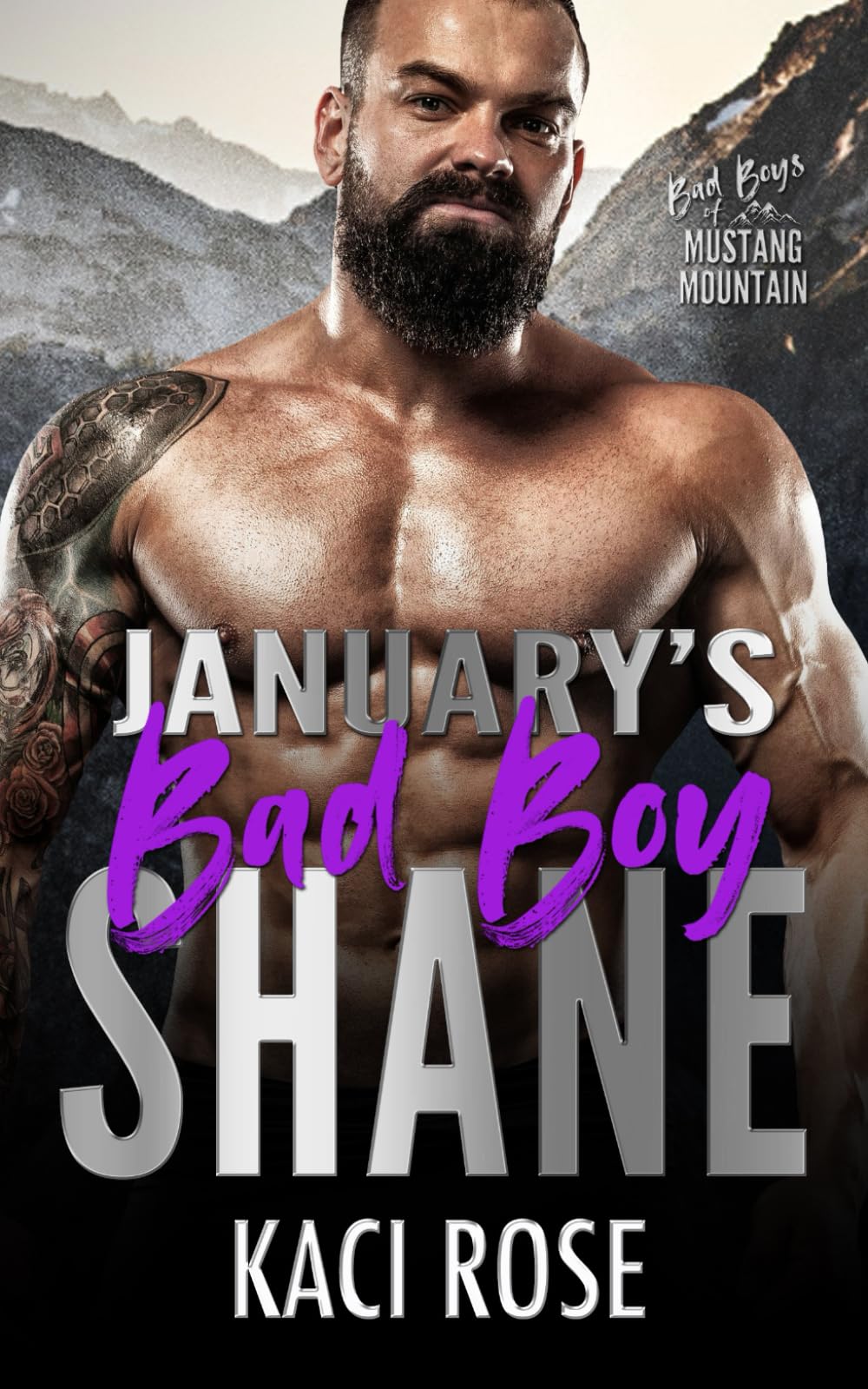 January's Bad Boy - Shane: Brother's Best Friend, One Bed Romance (Bad Boys of Mustang Mountain)