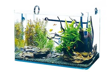 テトラ　Ｒ水槽60cm　アクアリムセット Amazon | テトラ (Tetra) ラウンド オールグラスアクアリウム