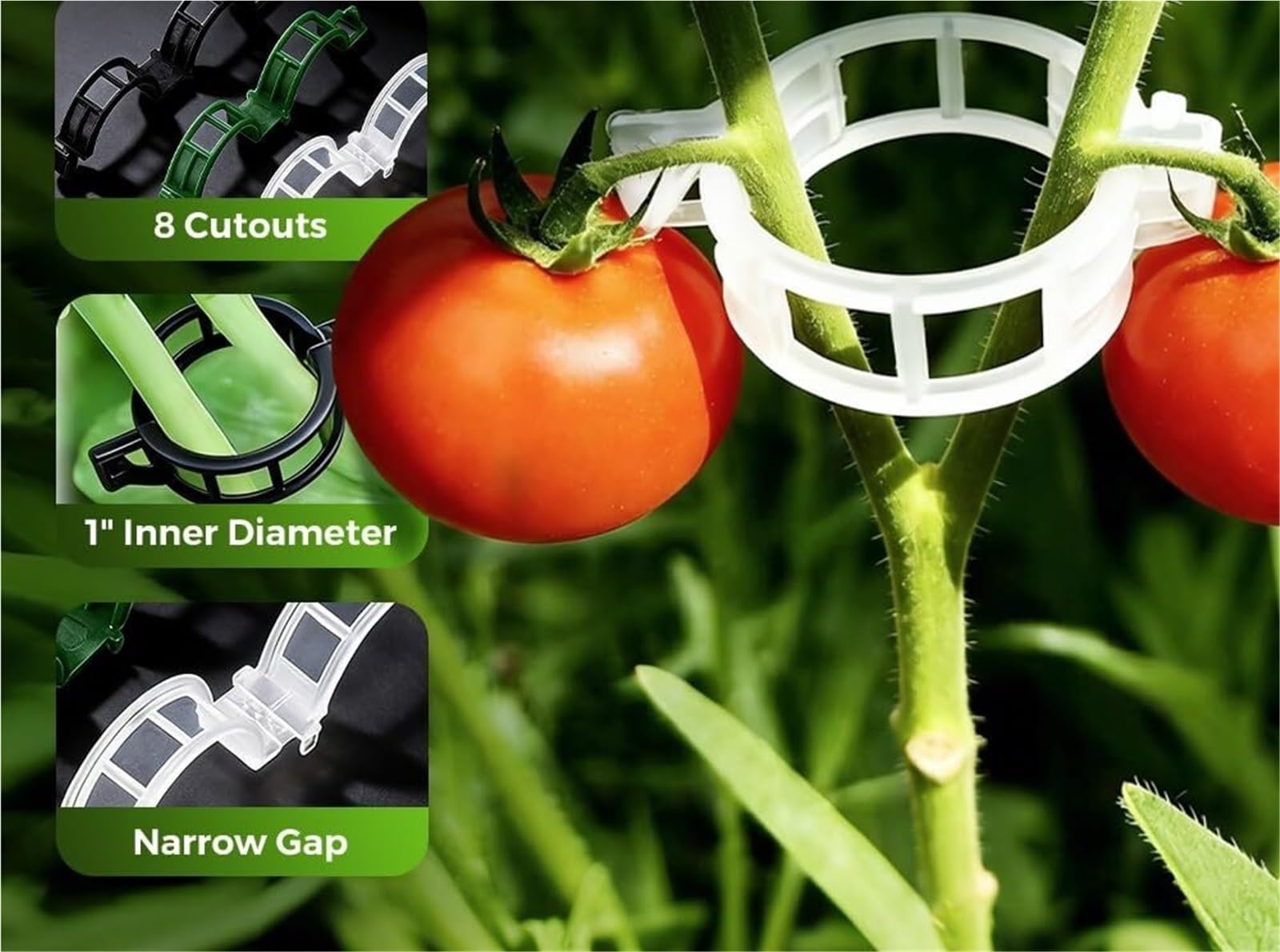 Mollette di sostegno per rampicanti da giardino, Clip Sostegno Piante for Pomodori E Viti Multicolor 150/300 pz(White 300Pcs)