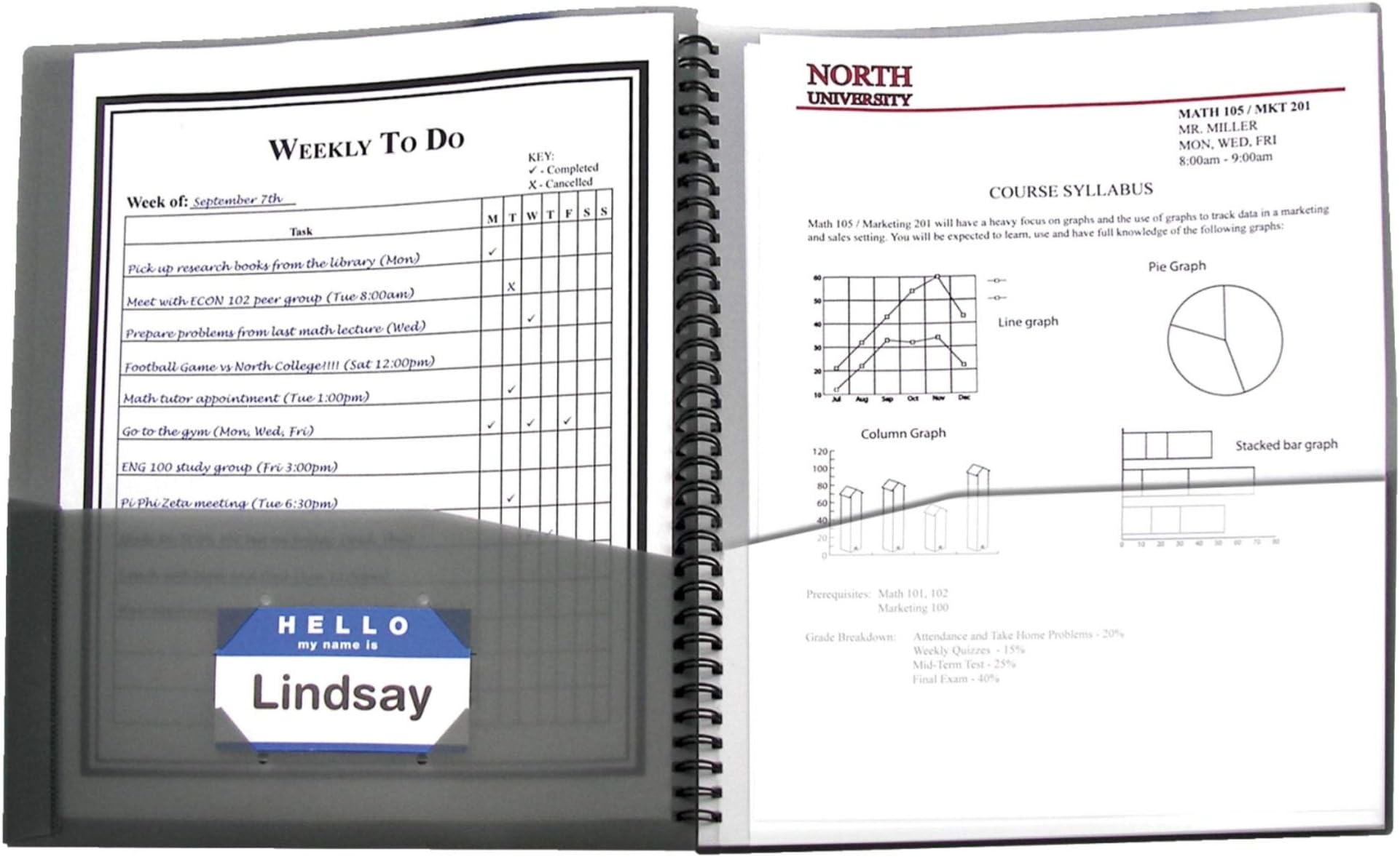 8-Pocket Spiral-Bound Poly Portfolio, Letter Size, 1 Portfolio, Smoke Gray (33081)