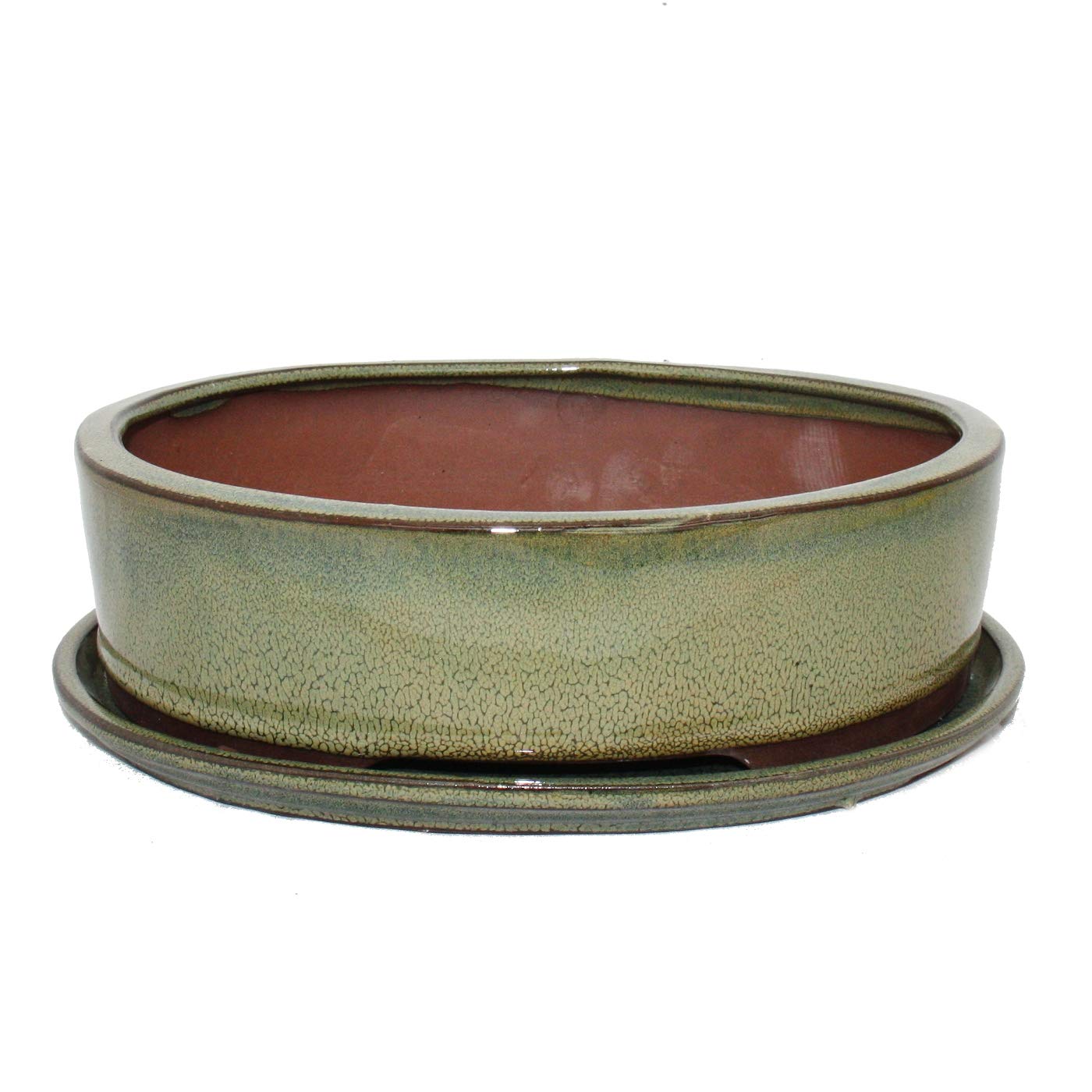bonsaï Bol avec soucoupe gr. 4 – Ovale O1 – Olive-brown – L 25 cm – L 20 cm – H 7,5 cm