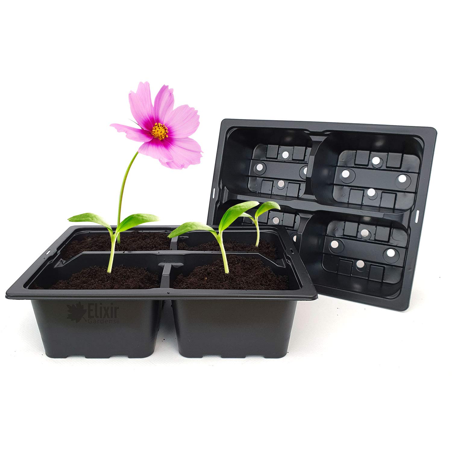 Elixir Gardens Full/Half Various Sizes 4,6,9,12,20,24,40,50,60 Cell Packs Various Quantities 2-1200 | 4 Cell PacksTrays x600