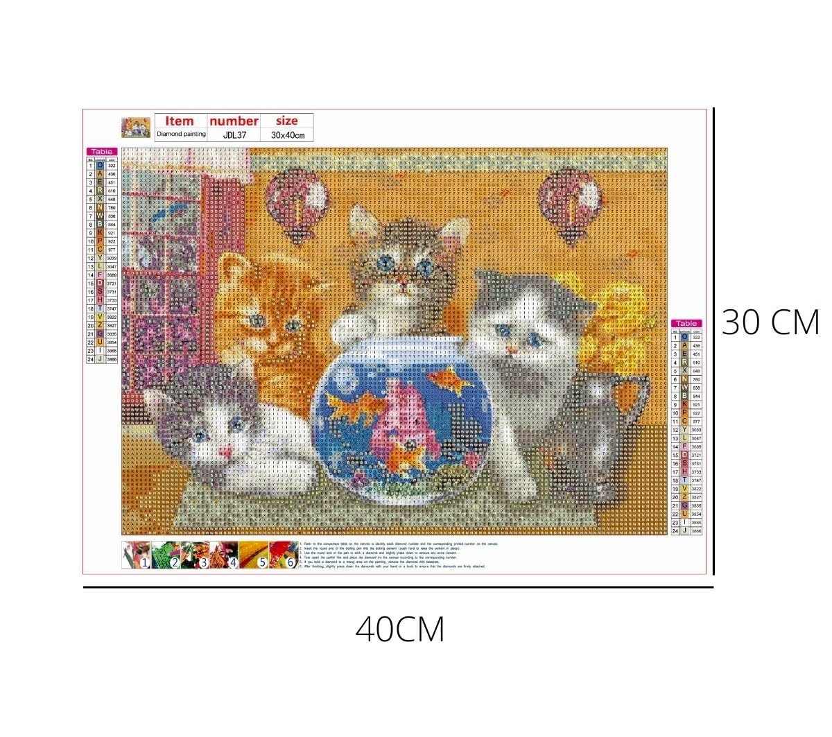 SusggO Diamond Painting, Set De Peinture Diamant 30 Cm X 40 Cm Diamond Painting Kit Complet D'accessoires DIY 5D Tableau Point De Croix Broderie Artisanat Décoration Murale Chat Blanc